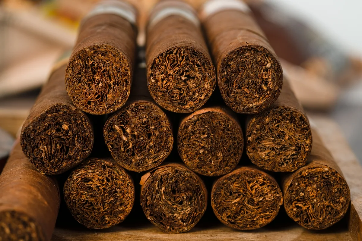 How to Know If a Cigar Is Fresh Before You Buy It (Our Shop Checklist)
