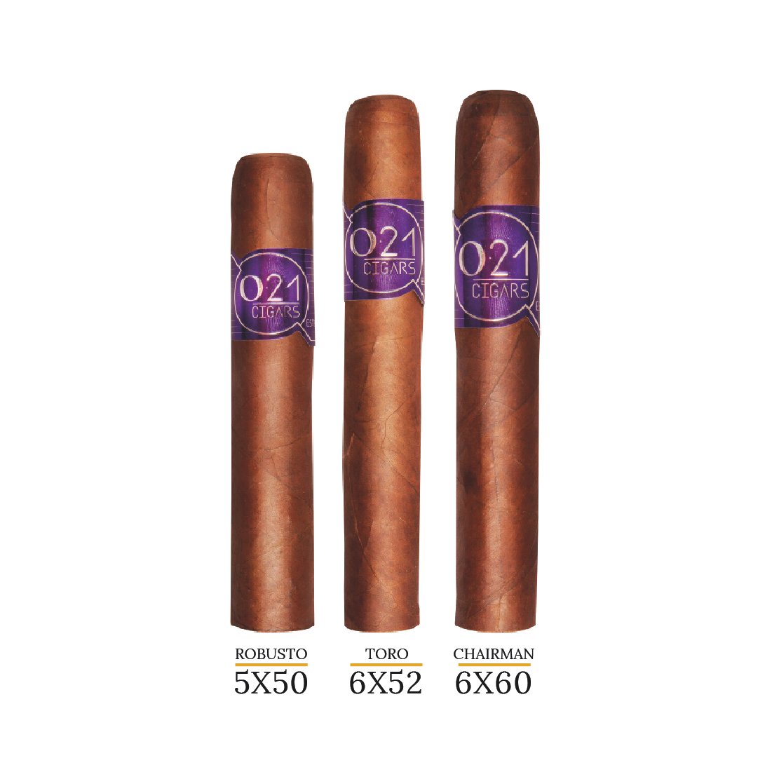 O21 Robusto 5×50 - Image 2