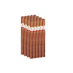 Sacrificio Elegante Lancero 7″×38