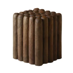 CS Gordo Bundle 25 Count